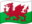 Wales Flagge WLS